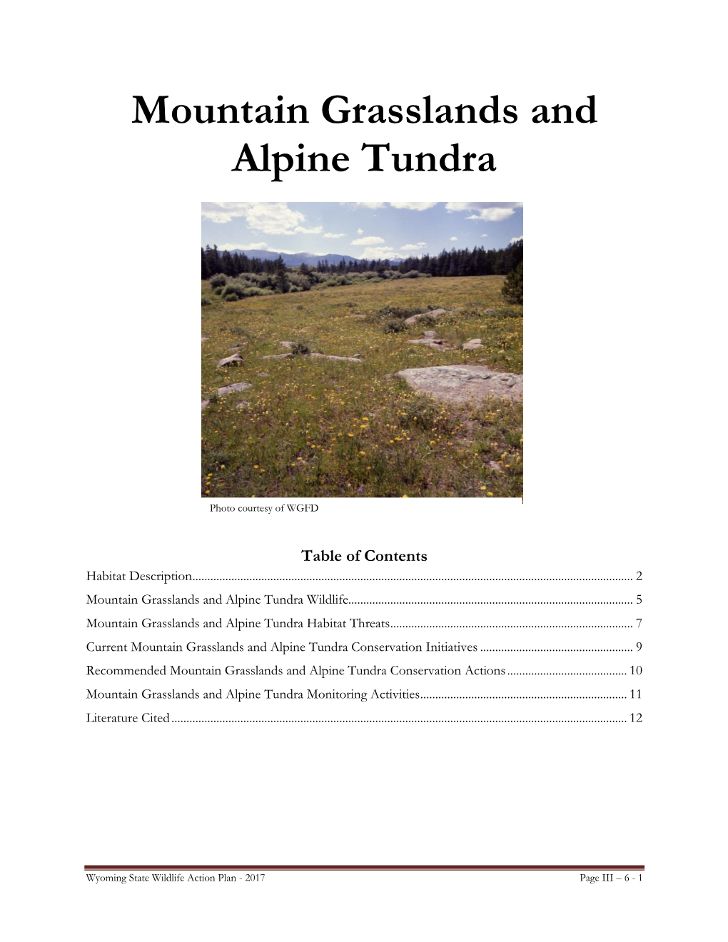 Mountain Grasslands and Alpine Tundra