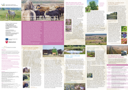 Wild Horses, Wisents and Aurochs Maintain the Wide Coastal Heaths