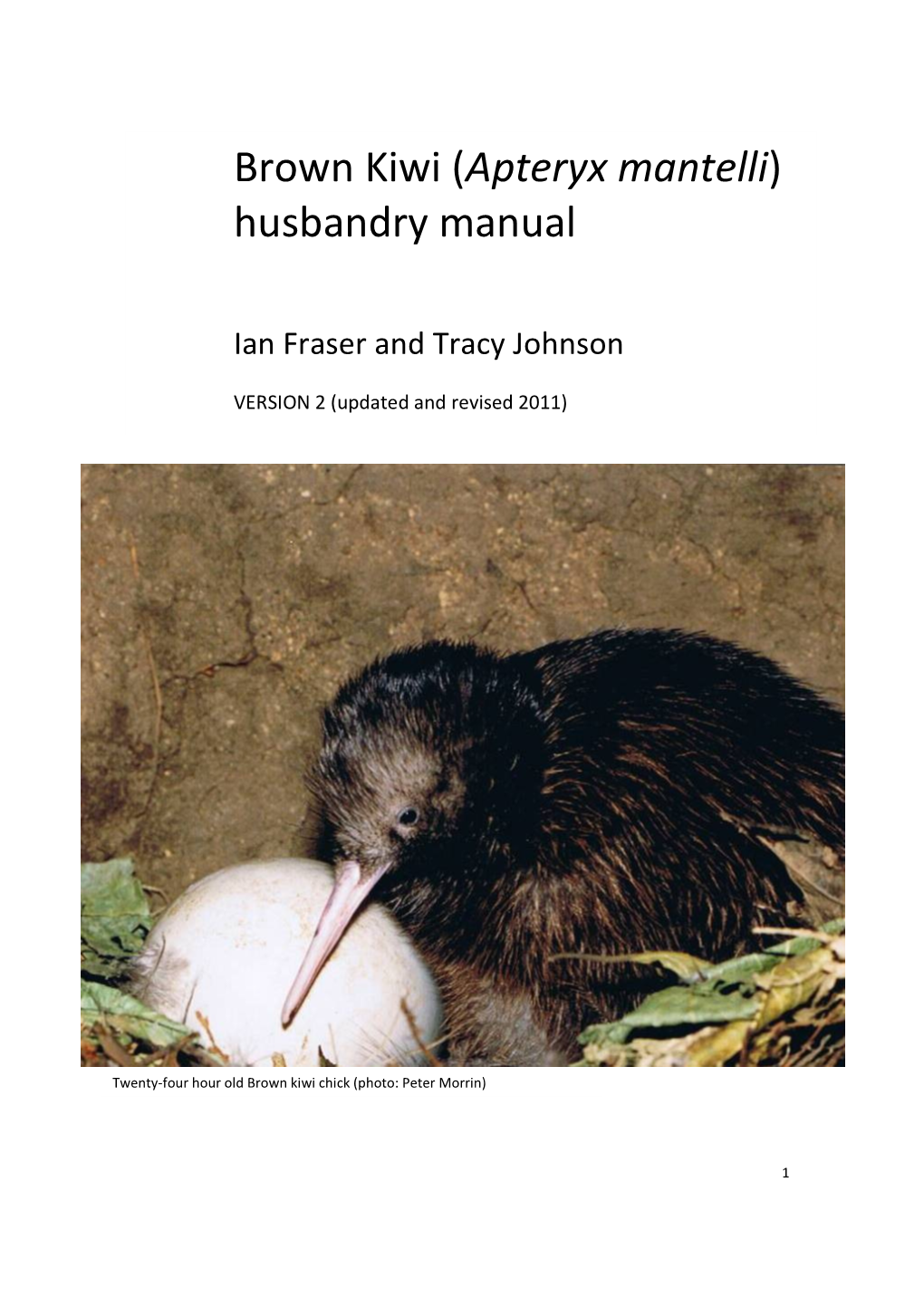 Brown Kiwi (Apteryx Mantelli) Husbandry Manual