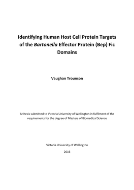 Identifying Human Host Cell Protein Targets of the Bartonella Effector Protein (Bep) Fic Domains