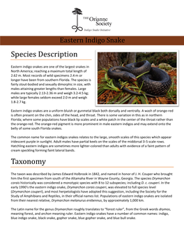 Eastern Indigo Snake Species Description