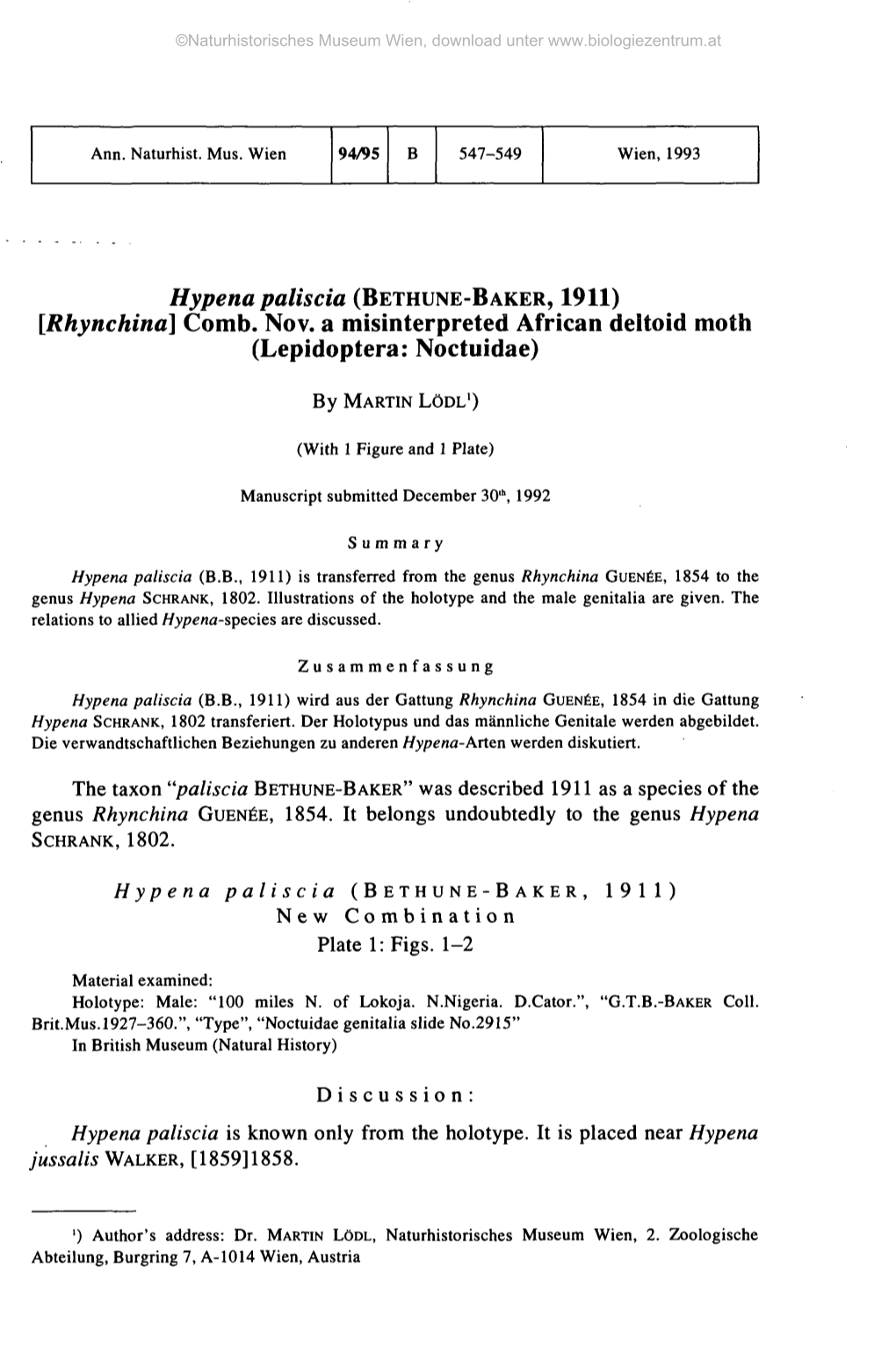 Hypena Paliscia (BETHUNE-BAKER, 1911) [Rhynchina] Comb