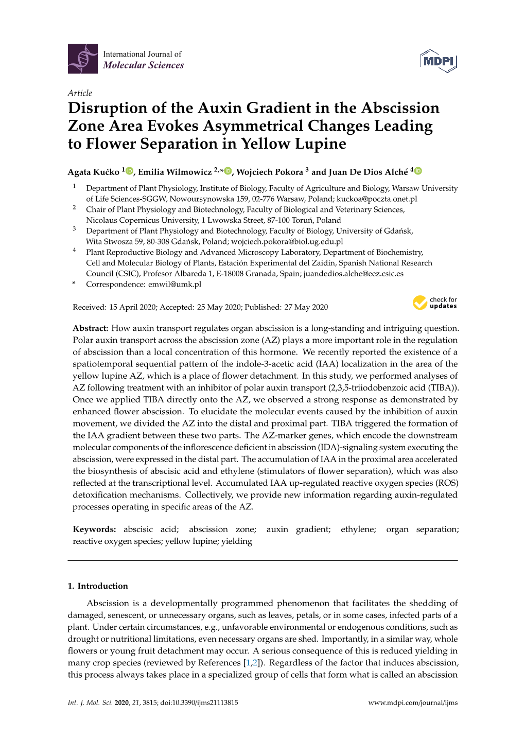 Disruption of the Auxin Gradient in the Abscission Zone Area Evokes Asymmetrical Changes Leading to Flower Separation in Yellow Lupine