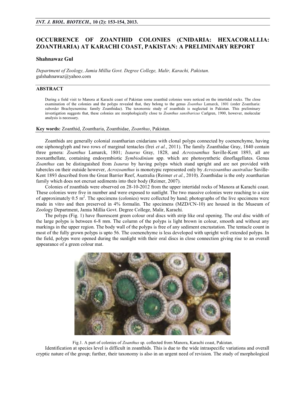 (Cnidaria: Hexacorallia: Zoantharia) at Karachi Coast, Pakistan: a Preliminary Report