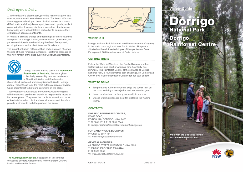 Dorrigo National Park Web Brochure