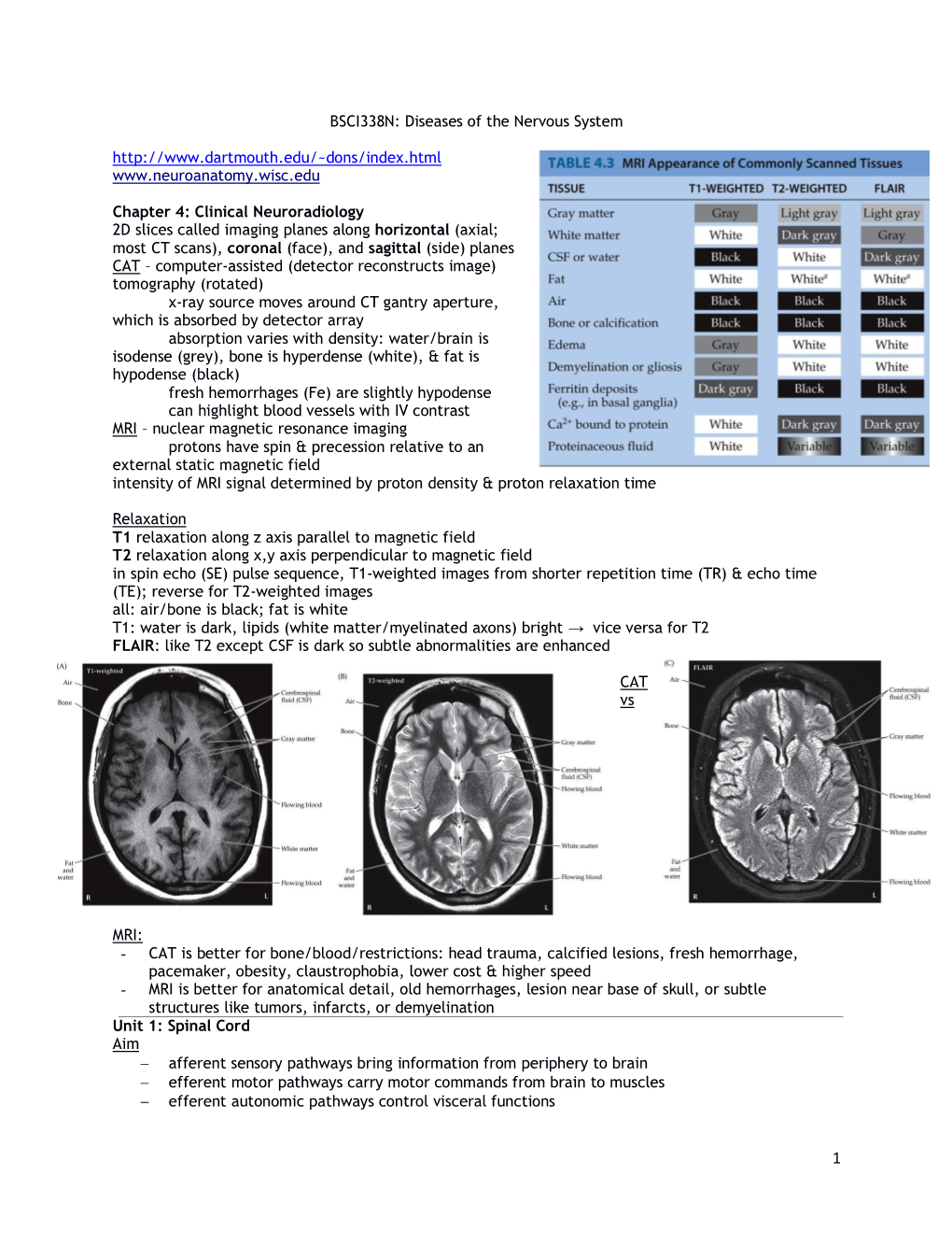 BSCI338N: Diseases of the Nervous System