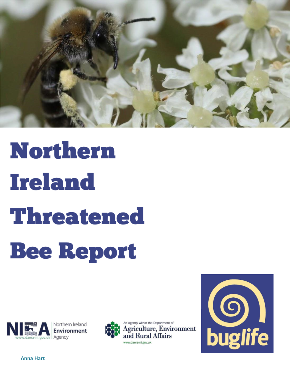 Northern Ireland Threatened Bee Report