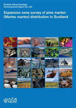 Expansion Zone Survey of Pine Marten (Martes Martes) Distribution in Scotland