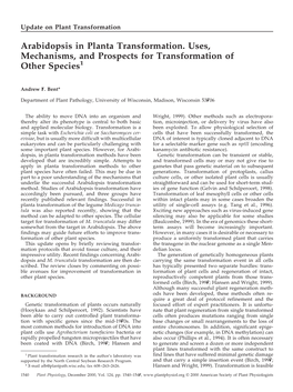 Arabidopsis in Planta Transformation. Uses, Mechanisms, and Prospects for Transformation of Other Species1