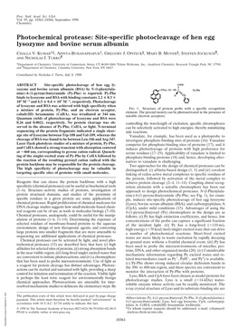 Site-Specific Photocleavage of Hen Egg Lysozyme and Bovine Serum Albumin