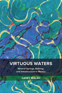 Mineral Springs, Bathing, and Infrastructure in Mexico