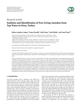 Isolation and Identification of Free-Living Amoebae from Tap Water in Sivas, Turkey
