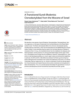 (Rodentia: Ctenodactylidae) from the Miocene of Israel