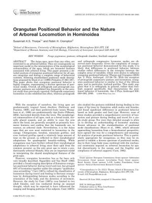 Orangutan Positional Behavior and the Nature of Arboreal Locomotion in Hominoidea Susannah K.S
