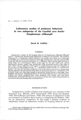 Laboratory Studies of Predatory Behaviour in Two Subspecies of the Carabid Cave Beetle: Neaphaenops Tellkampfi