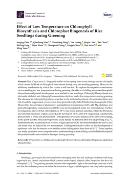 Effect of Low Temperature on Chlorophyll Biosynthesis And