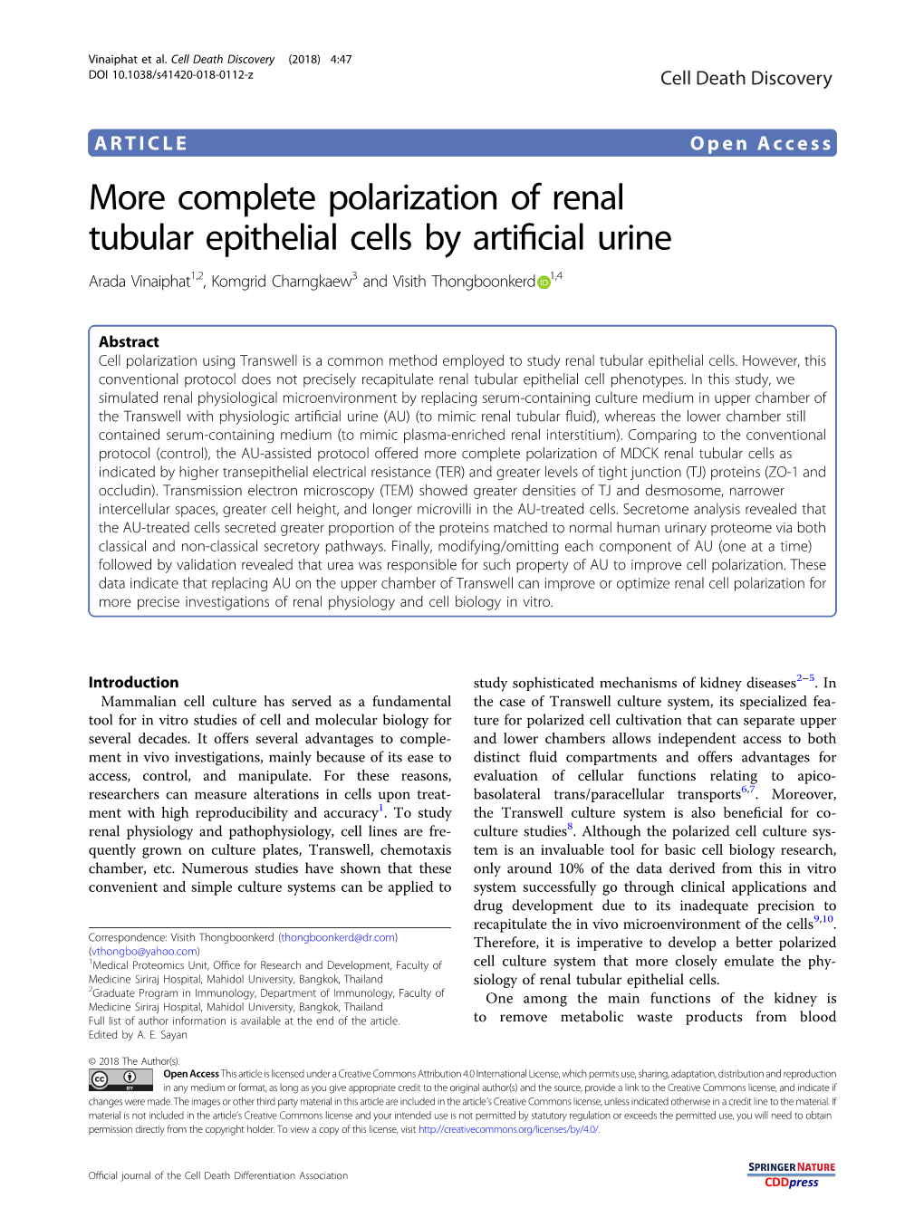 More Complete Polarization of Renal Tubular Epithelial Cells by Artificial Urine