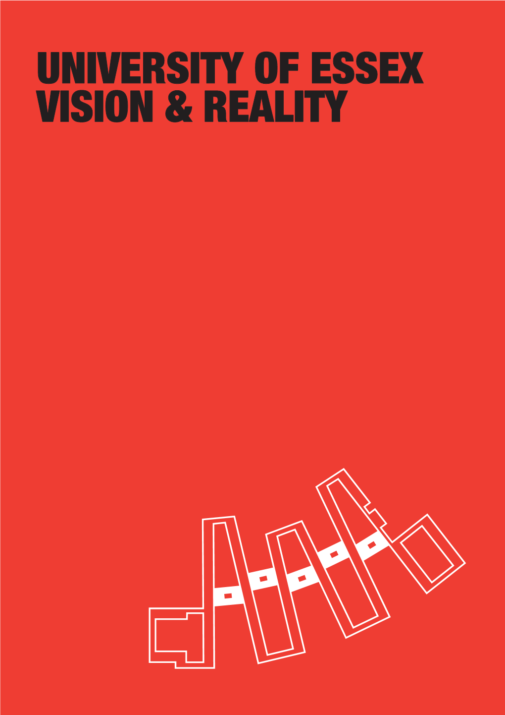 University of Essex: Vision and Reality (.Pdf)