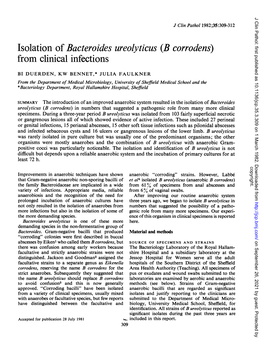 Isolation of Bacteroides Ureolyticus (B Corrodens) from Clinical Infections