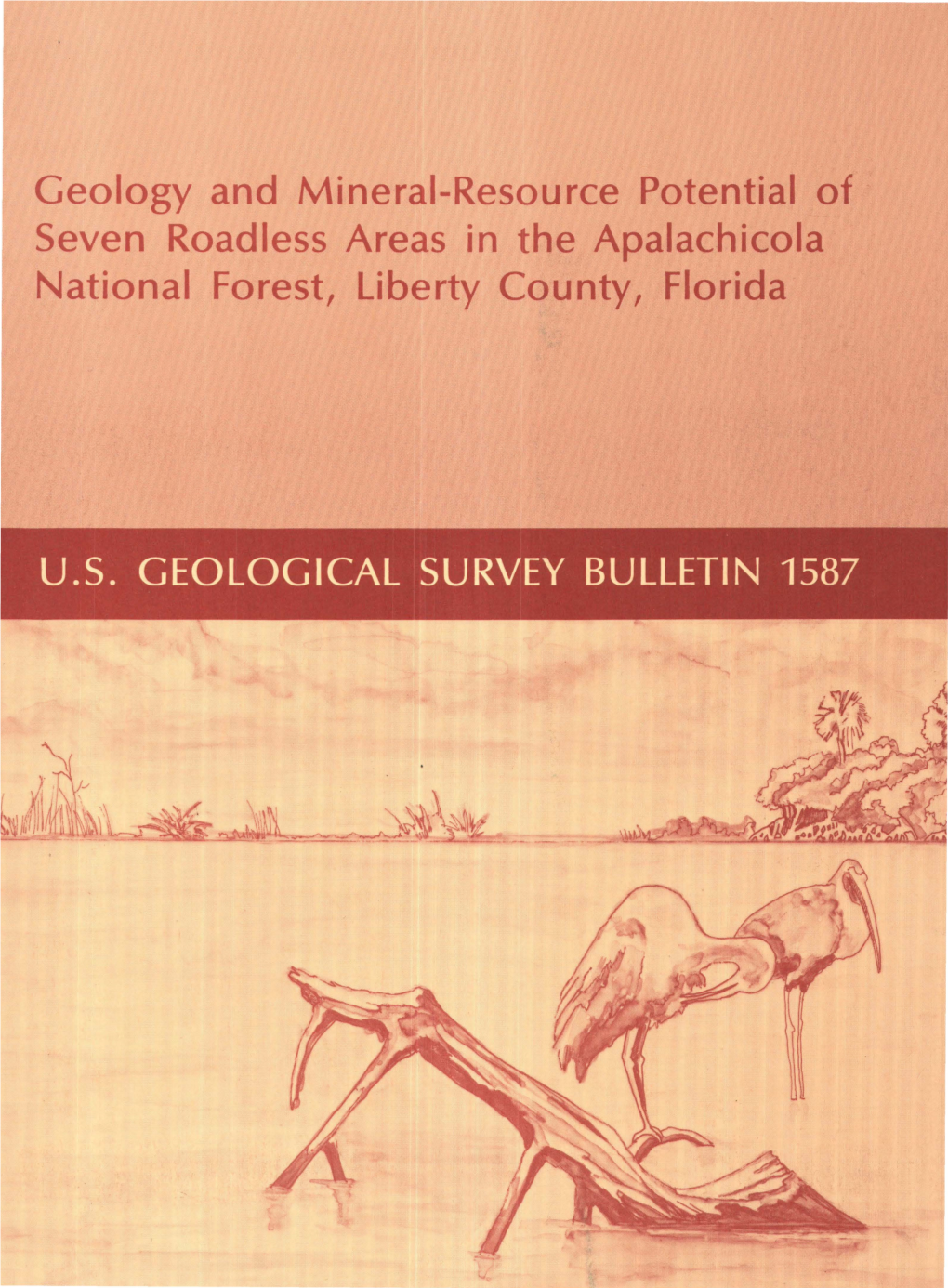 Geology and Mineral-Resource Potential of Seven Roadless Areas in the Apalachicola National Forest, Liberty County, Florida