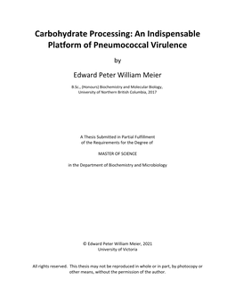 Carbohydrate Processing: an Indispensable Platform of Pneumococcal Virulence