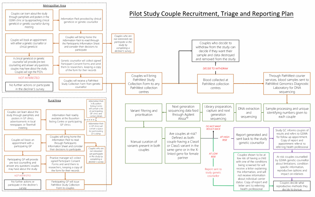 Pilot Study Couple Recruitment, Triage and Reporting Plan