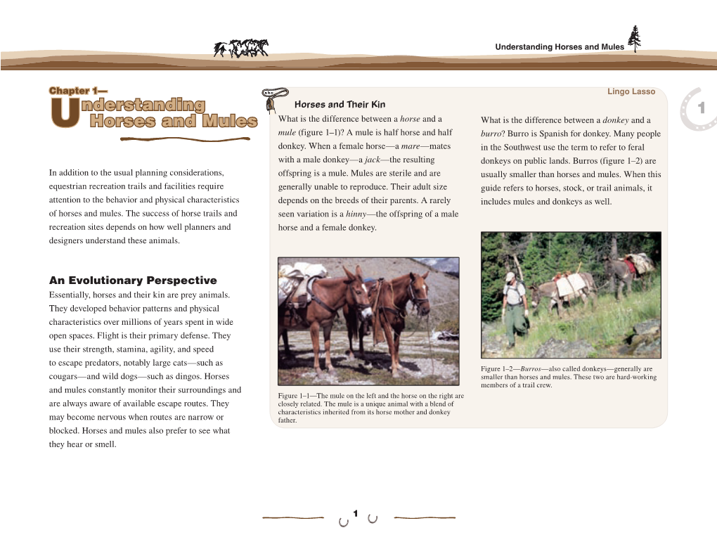 Chapter 1: Understanding Horses and Mules