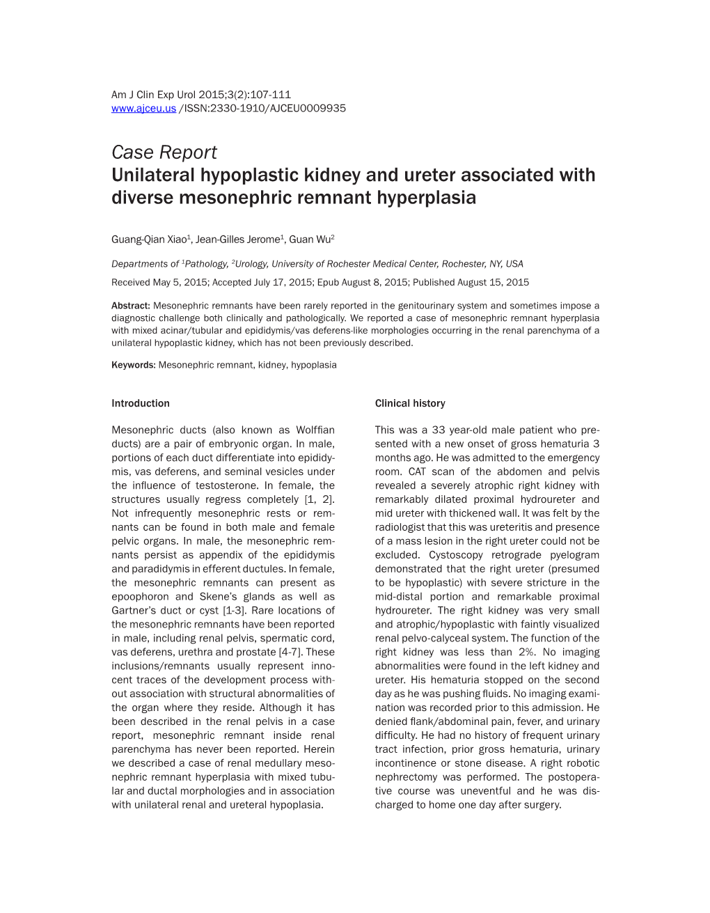 Case Report Unilateral Hypoplastic Kidney and Ureter Associated with Diverse Mesonephric Remnant Hyperplasia