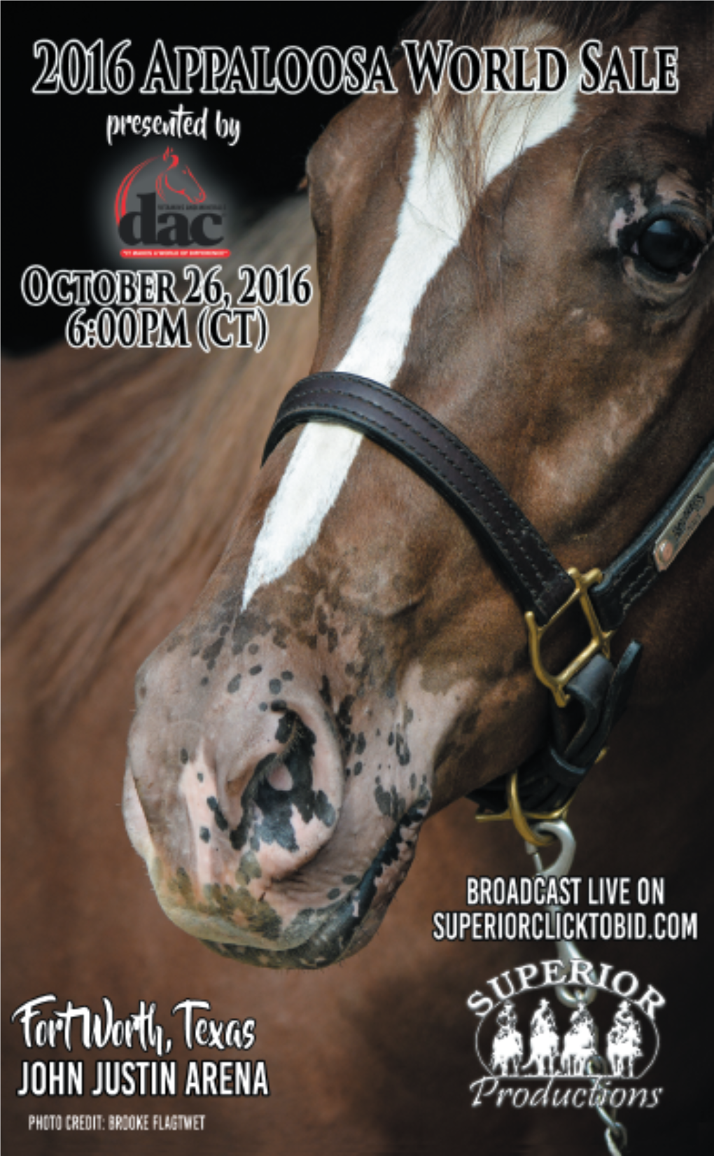 World Appaloosa 2016 New