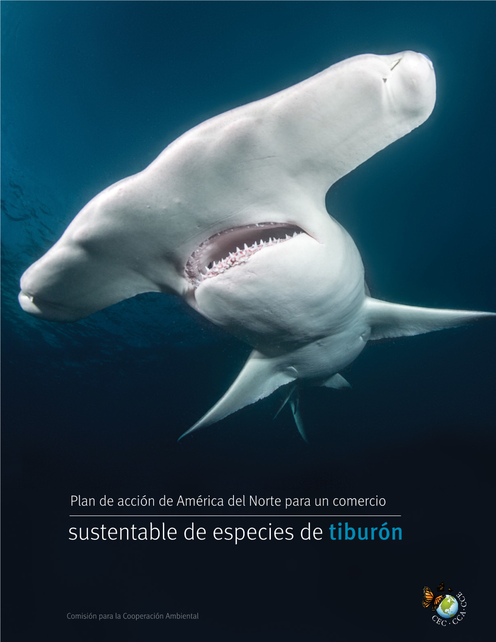 Sustentable De Especies De Tiburón