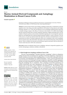 Marine Animal-Derived Compounds and Autophagy Modulation in Breast Cancer Cells