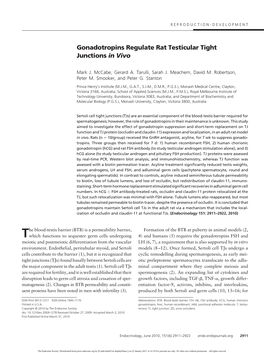 Gonadotropins Regulate Rat Testicular Tight Junctions in Vivo