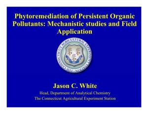 Phytoremediation of Persistent Organic Pollutants: Mechanistic Studies and Field Application