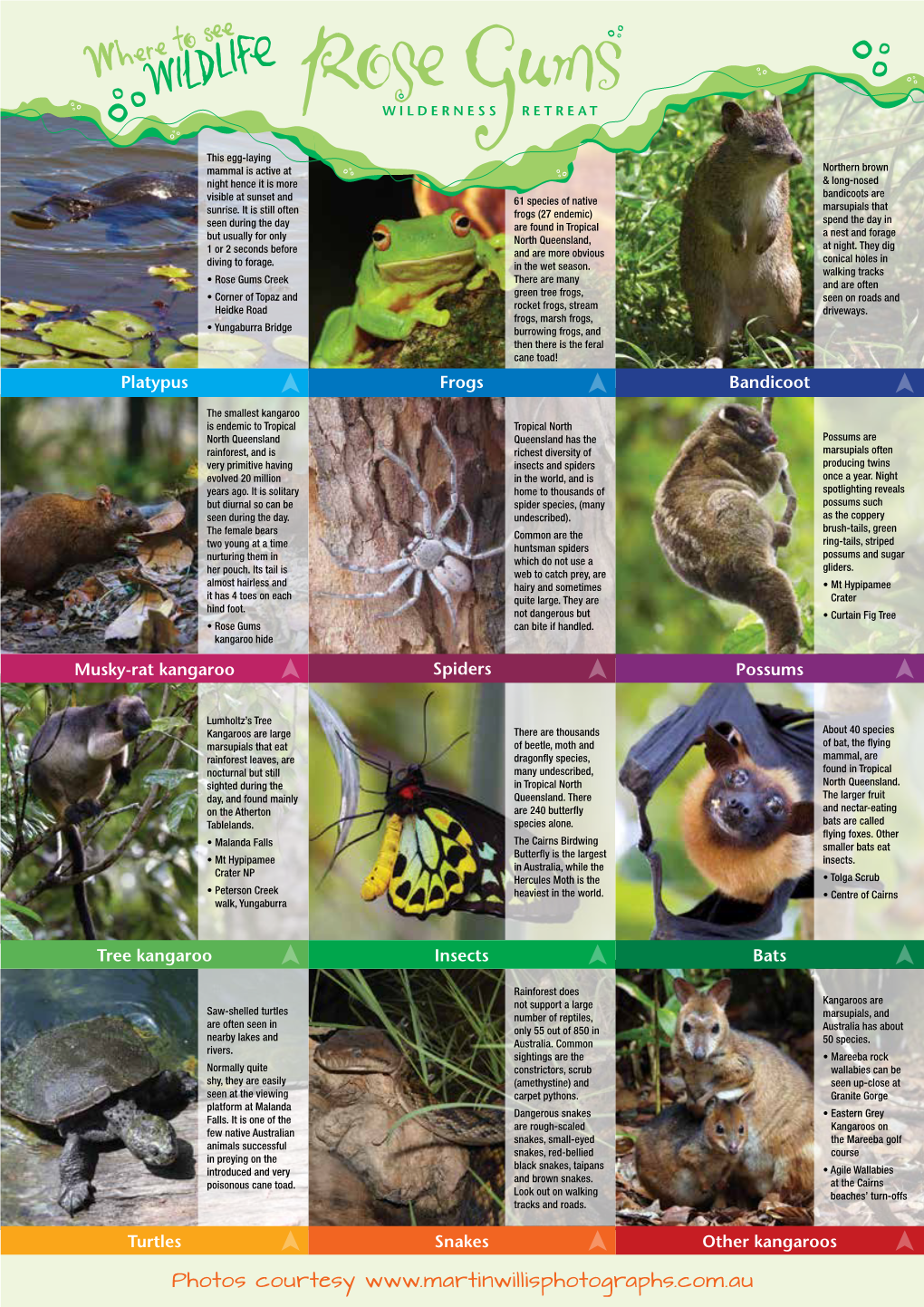 Wildlife Flyer.Pdf