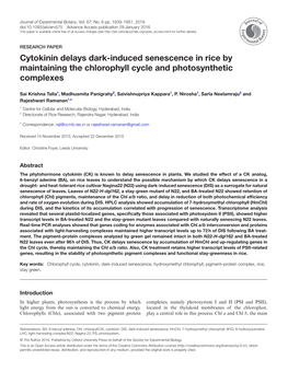Cytokinin Delays Dark-Induced Senescence in Rice by Maintaining the Chlorophyll Cycle and Photosynthetic Complexes