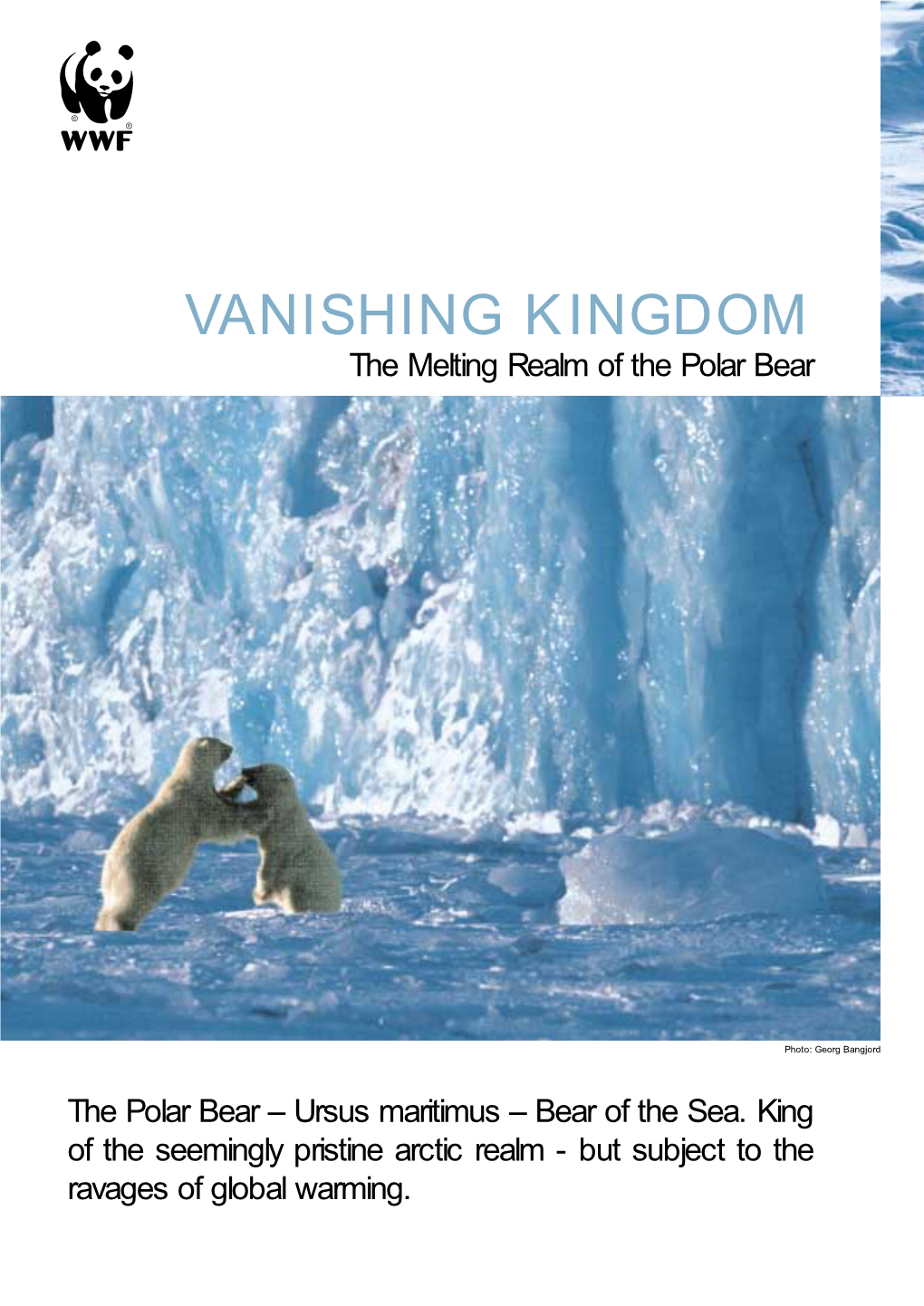 VANISHING KINGDOM the Melting Realm of the Polar Bear