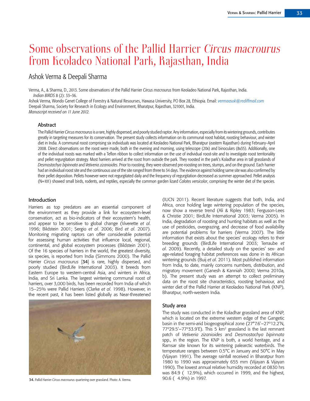 Some Observations of the Pallid Harrier Circus Macrourus from Keoladeo National Park, Rajasthan, India Ashok Verma & Deepali Sharma