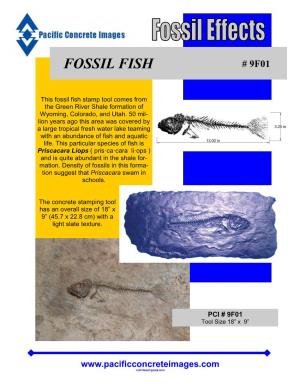 Fossil Fish # 9F01