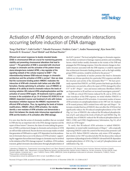 Activation of ATM Depends on Chromatin Interactions Occurring Before Induction of DNA Damage