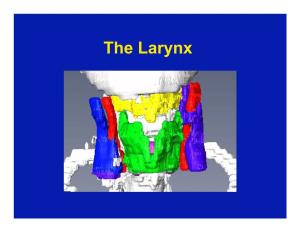 The Larynx Table of Contents