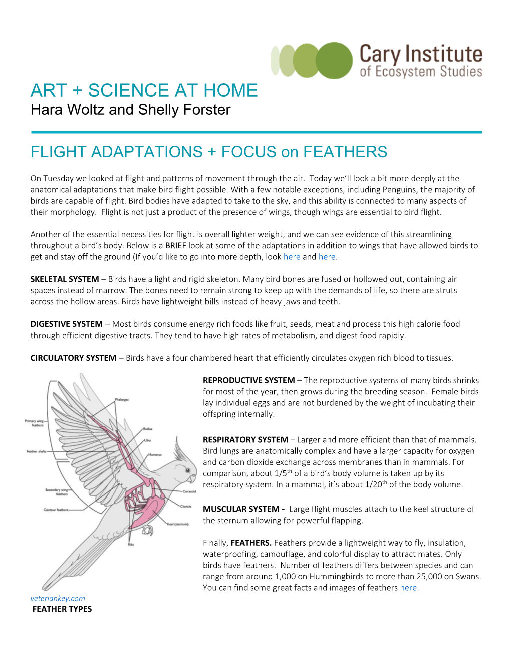 ART + SCIENCE at HOME Hara Woltz and Shelly Forster