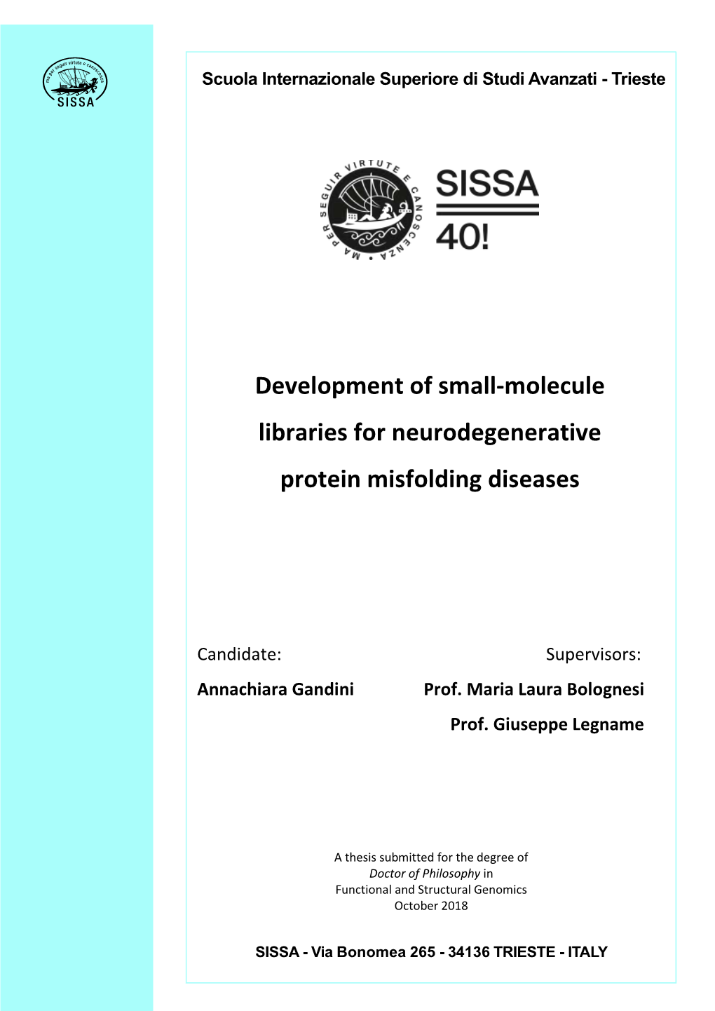 Development of Small-Molecule Libraries for Neurodegenerative Protein Misfolding Diseases