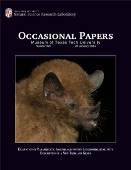 PDF Format from the Website of the Natural Science Research Laboratory, Museum of Texas Tech University (Nsrl.Ttu.Edu)