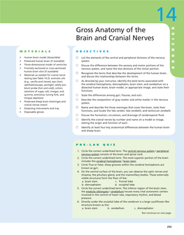 Gross Anatomy of the Brain and Cranial Nerves
