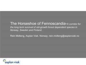 The Horseshoe of Fennoscandia, Norway, Rein Midteng