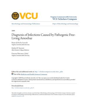 Diagnosis of Infections Caused by Pathogenic Free-Living Amoebae