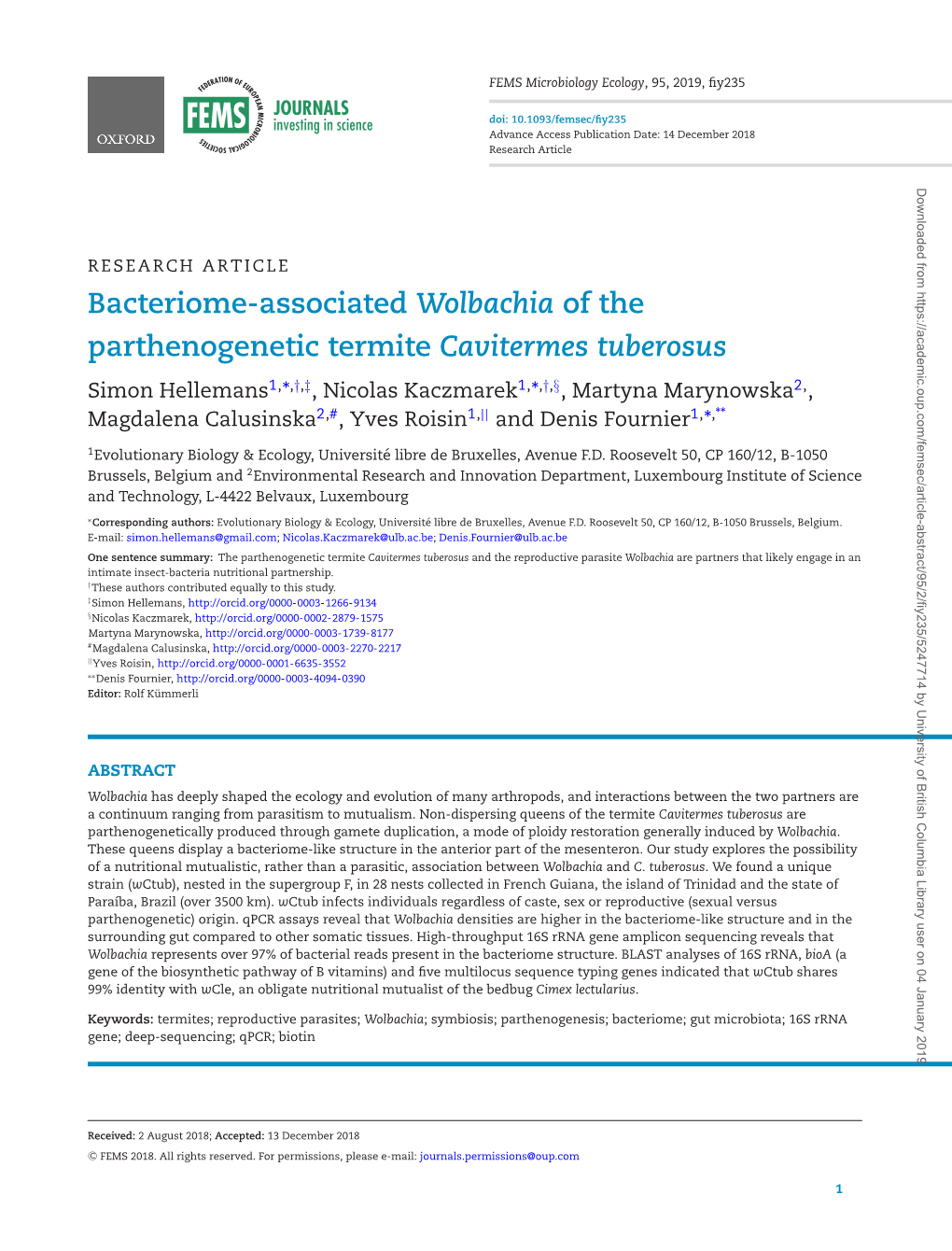 Bacteriome-Associated Wolbachia of the Parthenogenetic Termite Cavitermes Tuberosus