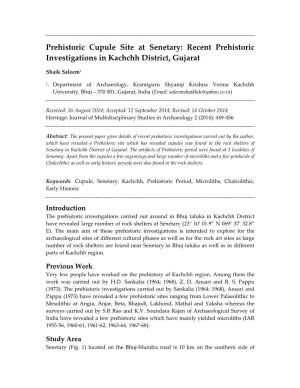 Prehistoric Cupule Site at Senetary: Recent Prehistoric Investigations in Kachchh District, Gujarat