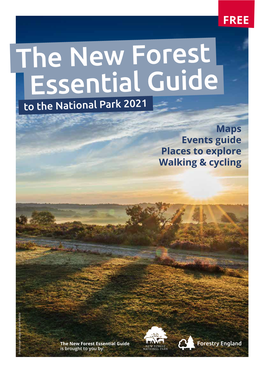 Essential Guide 2021