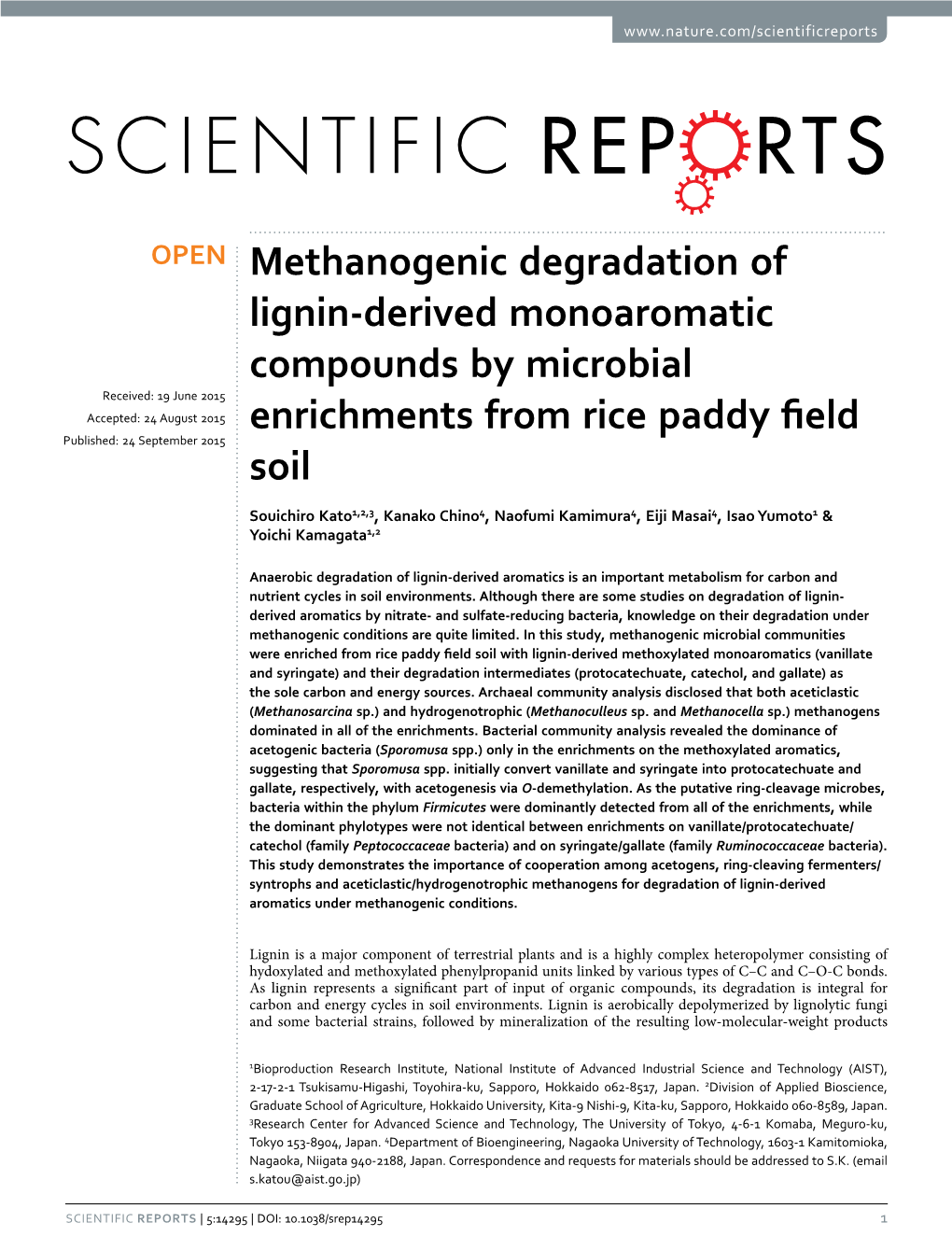 Methanogenic Degradation of Lignin-Derived Monoaromatic Compounds by Microbial Enrichments from Rice Paddy Field Soil
